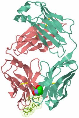 Image Biological Unit 1