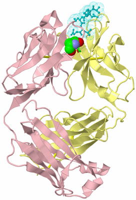 Image Biological Unit 3