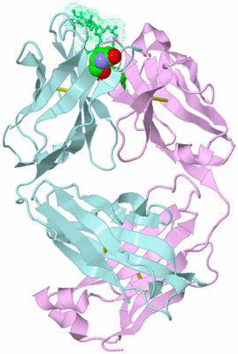 Image Biological Unit 4