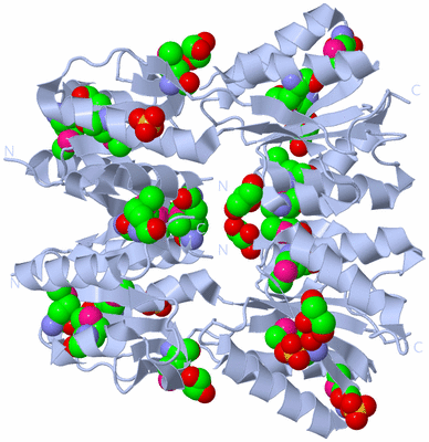 Image Biological Unit 1