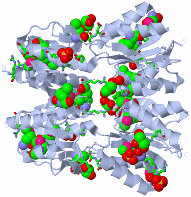 Image Biol. Unit 1 - sites