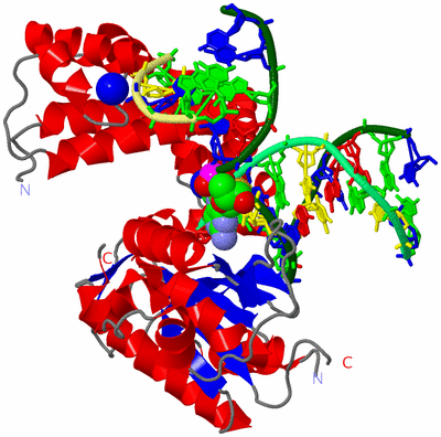 Image Asym./Biol. Unit