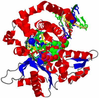 Image Asym./Biol. Unit