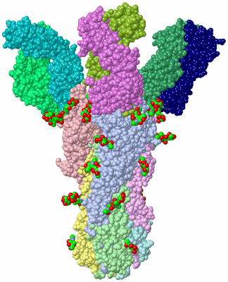 Image Biological Unit 1