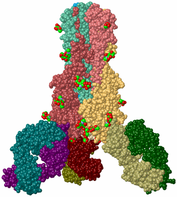 Image Biological Unit 2