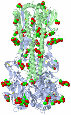 Image Biological Unit 1