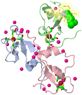 Image Asym./Biol. Unit - sites