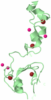 Image Biological Unit 2