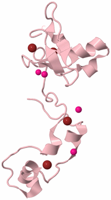 Image Biological Unit 3