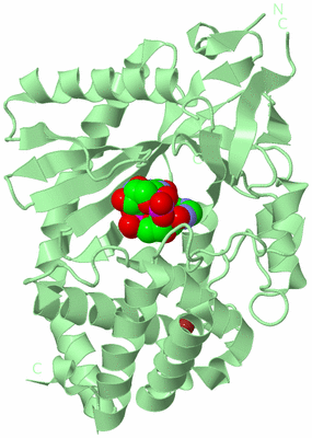 Image Biological Unit 2