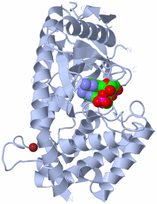 Image Biological Unit 3