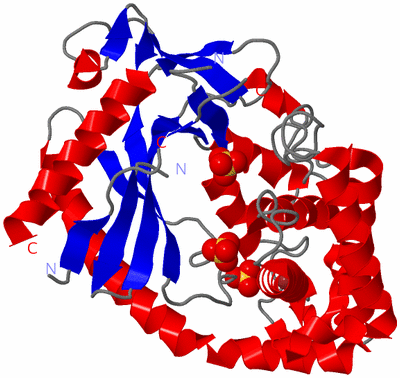 Image Asym./Biol. Unit