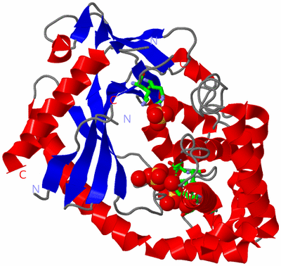 Image Asym./Biol. Unit - sites