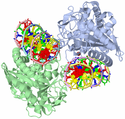 Image Asym./Biol. Unit