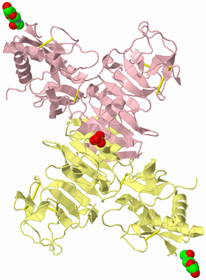 Image Biological Unit 2