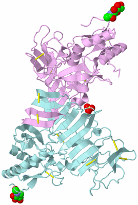 Image Biological Unit 3