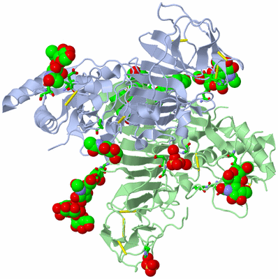 Image Asym./Biol. Unit - sites