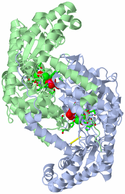 Image Biol. Unit 1 - sites