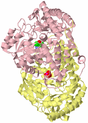 Image Biological Unit 2