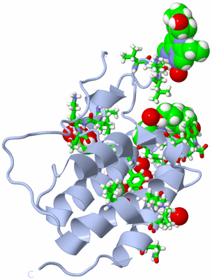 Image Biol. Unit 1 - sites