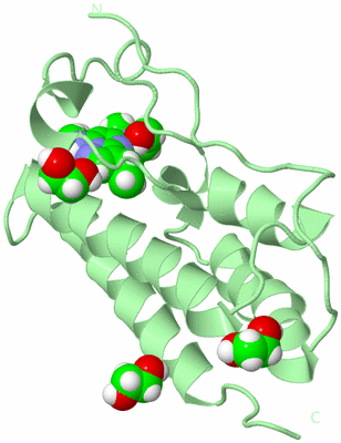 Image Biological Unit 2