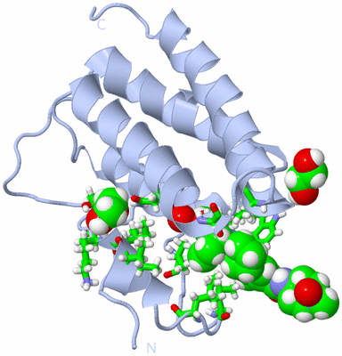 Image Biol. Unit 1 - sites