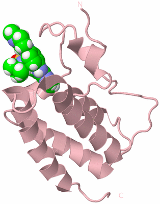 Image Biological Unit 3