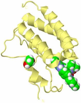 Image Biological Unit 4