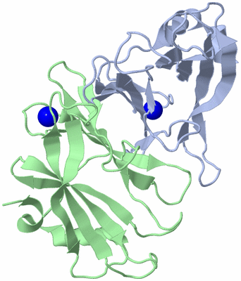 Image Asym./Biol. Unit