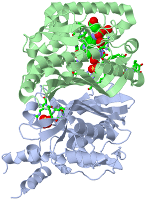 Image Biol. Unit 1 - sites