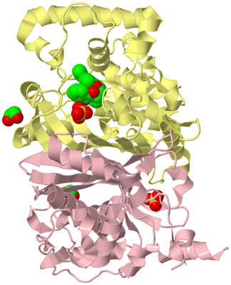 Image Biological Unit 2