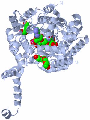 Image Biological Unit 1