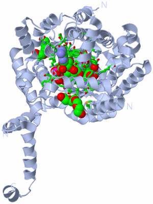 Image Biol. Unit 1 - sites