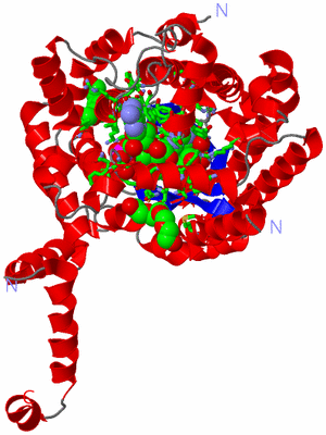 Image Asym. Unit - sites