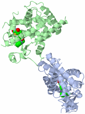 Image Biological Unit 1