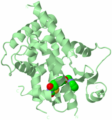 Image Biological Unit 3