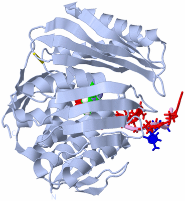 Image Biological Unit 1