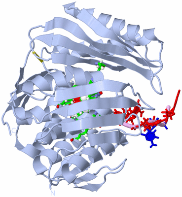 Image Biol. Unit 1 - sites