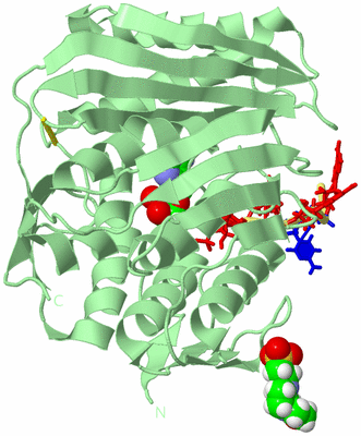 Image Biological Unit 2