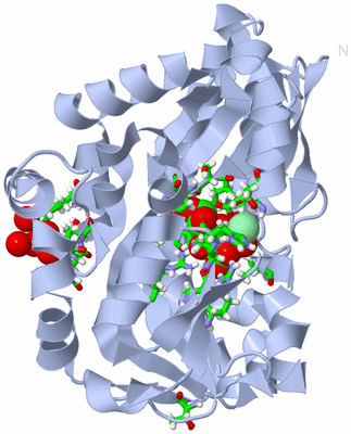 Image Biol. Unit 1 - sites