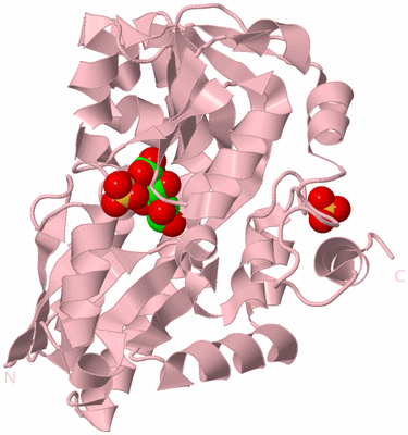 Image Biological Unit 3