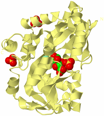 Image Biological Unit 4