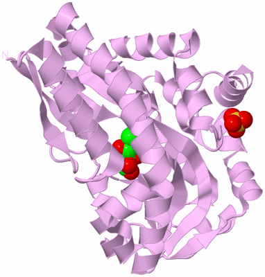 Image Biological Unit 5