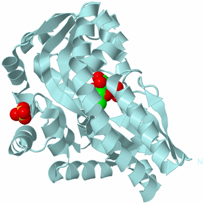 Image Biological Unit 6