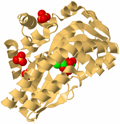 Image Biological Unit 7