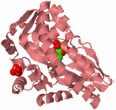 Image Biological Unit 8