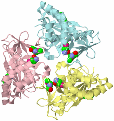 Image Biological Unit 2