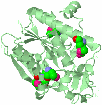 Image Biological Unit 2