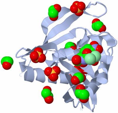 Image Biological Unit 1