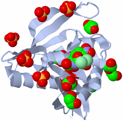 Image Biological Unit 1